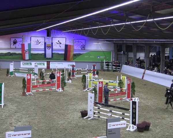 Legdener Ponymeeting 2022