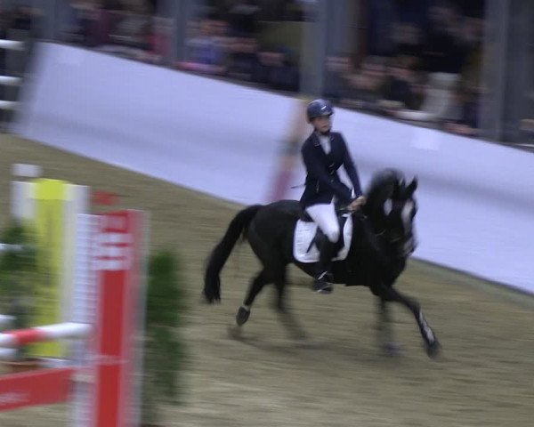 Legdener Ponymeeting 2022