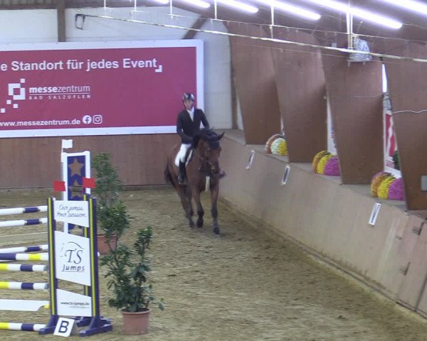 Reitturnier Bad Salzuflen 2022