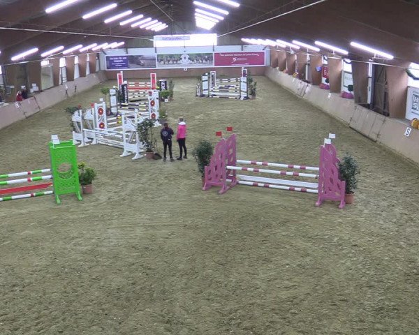 Reitturnier Bad Salzuflen 2022