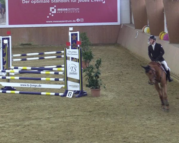Reitturnier Bad Salzuflen 2022