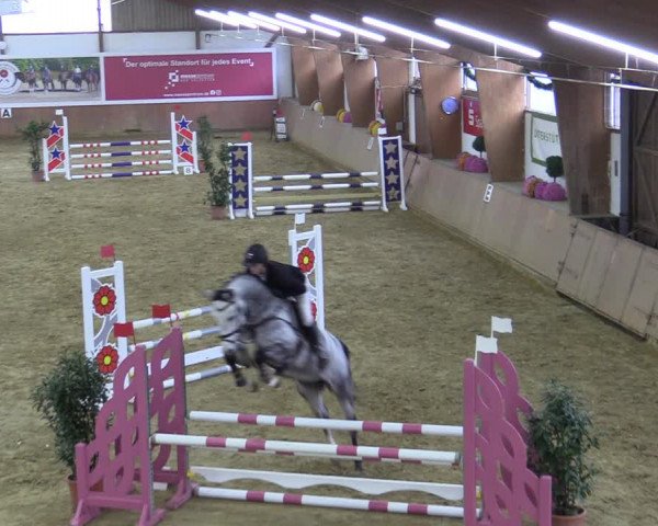 Reitturnier Bad Salzuflen 2022
