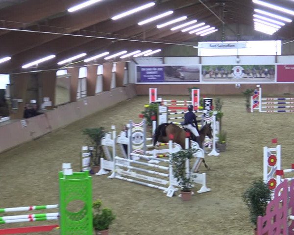 Reitturnier Bad Salzuflen 2022