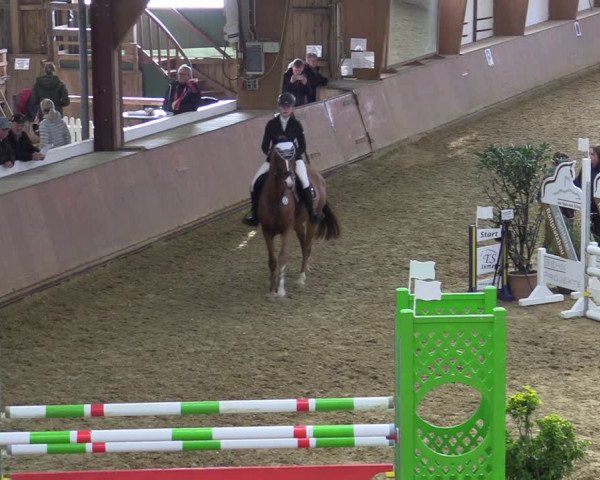 Reitturnier Bad Salzuflen 2022