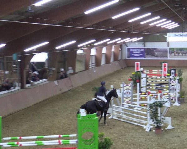 Reitturnier Bad Salzuflen 2022
