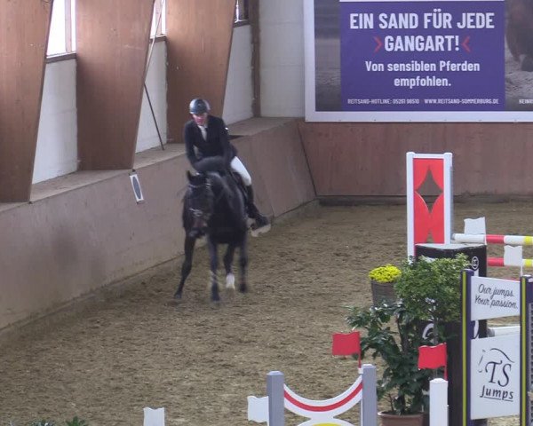 Reitturnier Bad Salzuflen 2022