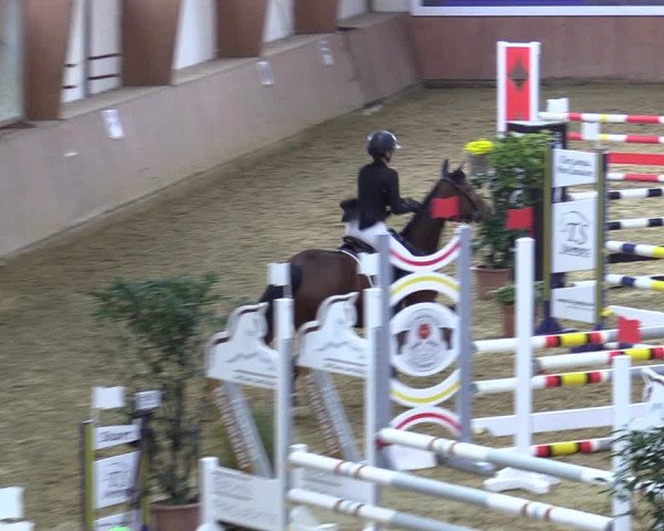 Reitturnier Bad Salzuflen 2022