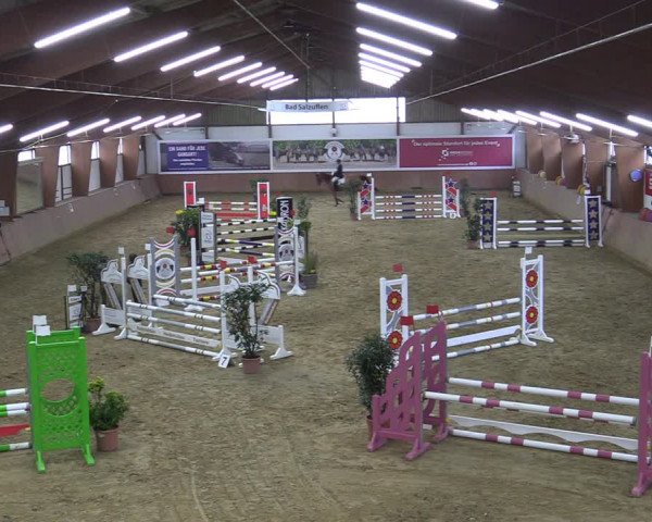 Reitturnier Bad Salzuflen 2022