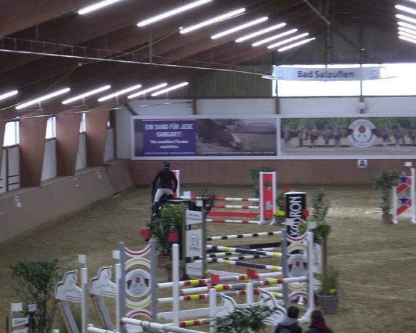 Reitturnier Bad Salzuflen 2022