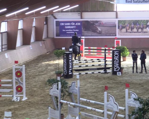 Reitturnier Bad Salzuflen 2022