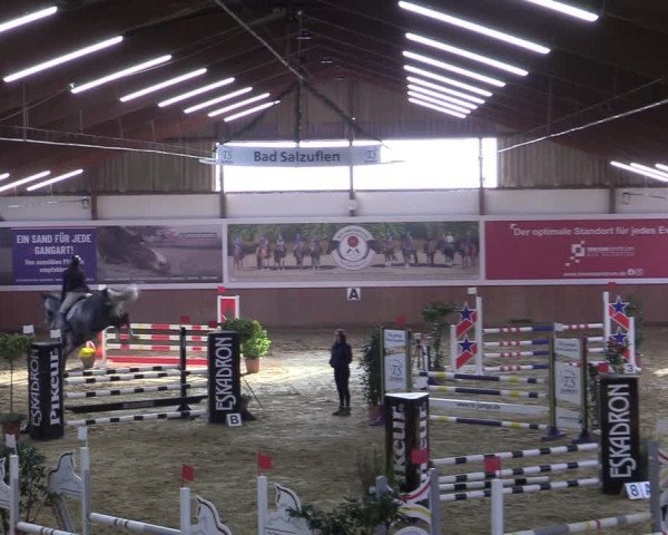 Reitturnier Bad Salzuflen 2022