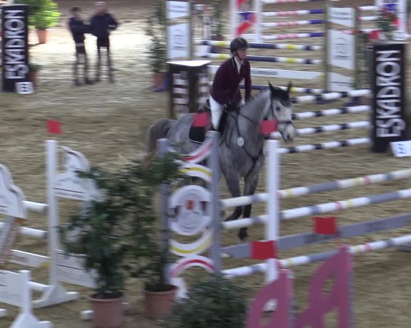Reitturnier Bad Salzuflen 2022