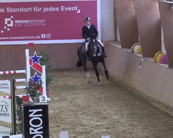 Reitturnier Bad Salzuflen 2022
