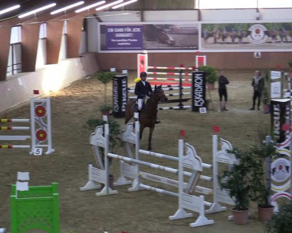 Reitturnier Bad Salzuflen 2022