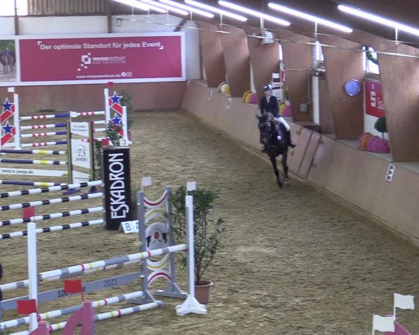 Reitturnier Bad Salzuflen 2022