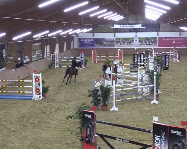Reitturnier Bad Salzuflen 2022