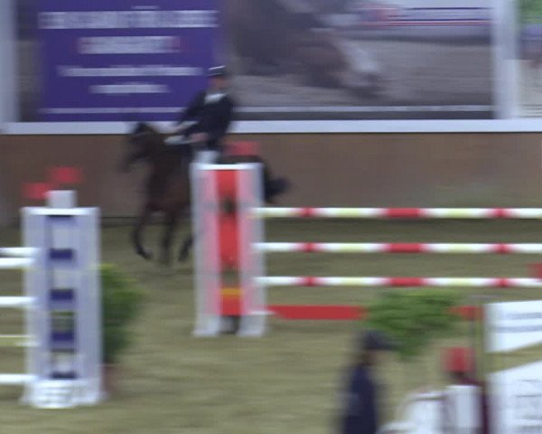 Reitturnier Bad Salzuflen 2022