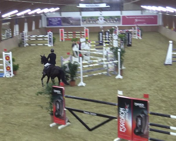 Reitturnier Bad Salzuflen 2022