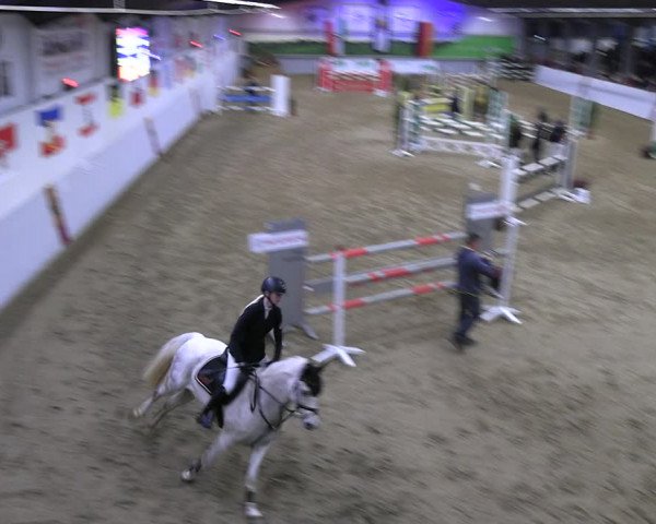 Legdener Ponymeeting 2022