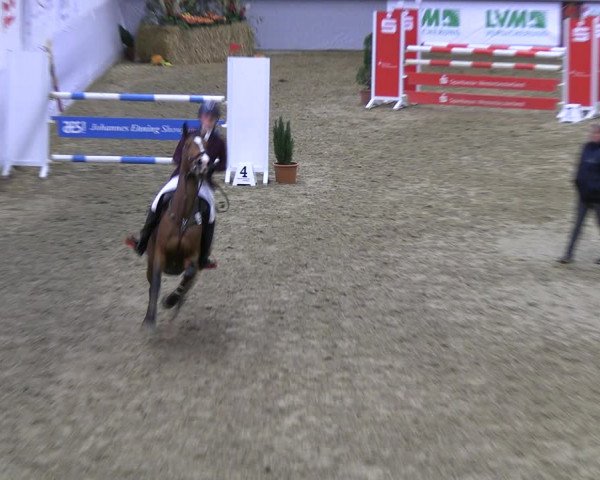 Legdener Ponymeeting 2022