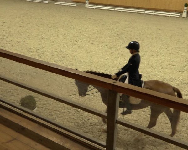 Reitturnier Hamburg-Friedrichshulde/Sylva Kuhrt 2022