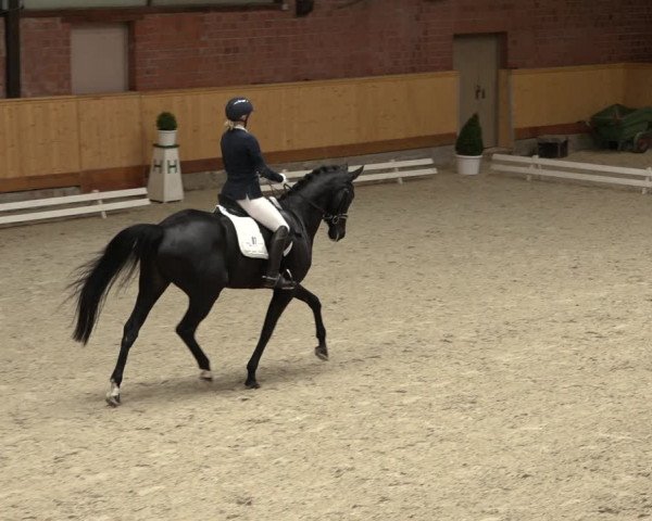 Reitturnier Hamburg-Friedrichshulde/Sylva Kuhrt 2022