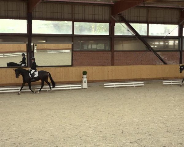 Reitturnier Hamburg-Friedrichshulde/Sylva Kuhrt 2022