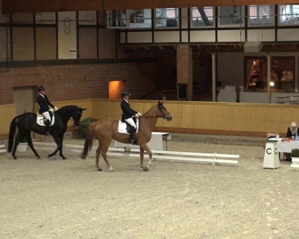 Reitturnier Hamburg-Friedrichshulde/Sylva Kuhrt 2022
