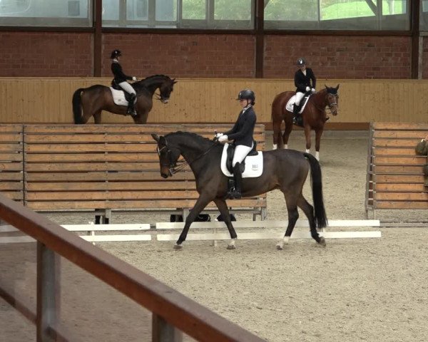 Reitturnier Hamburg-Friedrichshulde/Sylva Kuhrt 2022