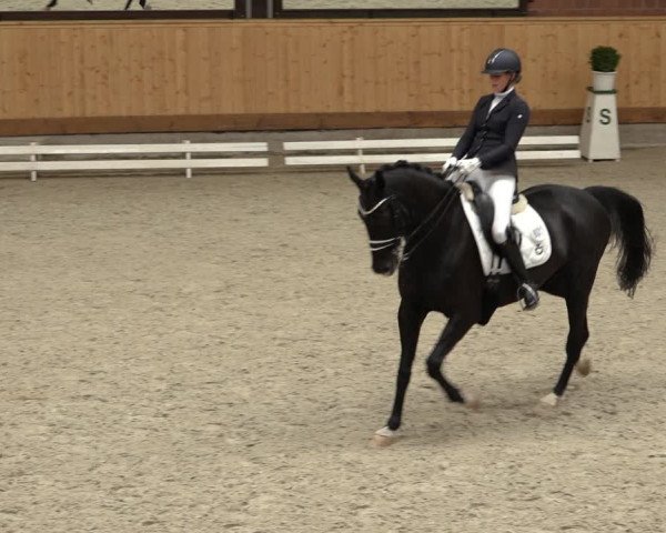 Reitturnier Hamburg-Friedrichshulde/Sylva Kuhrt 2022