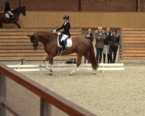 Reitturnier Hamburg-Friedrichshulde/Sylva Kuhrt 2022