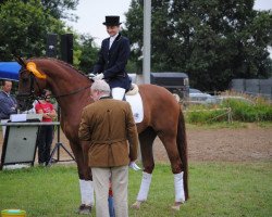 horse Whynston Hewett CA (Hanoverian, 2004, from Worldly I)