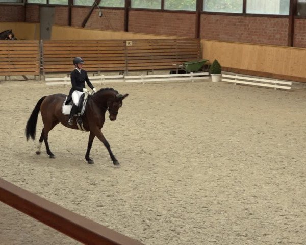 Reitturnier Hamburg-Friedrichshulde/Sylva Kuhrt 2022