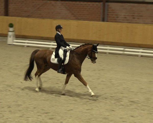 Reitturnier Hamburg-Friedrichshulde/Sylva Kuhrt 2022