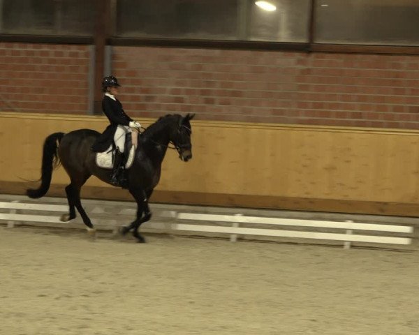 Reitturnier Hamburg-Friedrichshulde/Sylva Kuhrt 2022