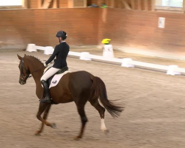 Reitturnier Rüti 2022
