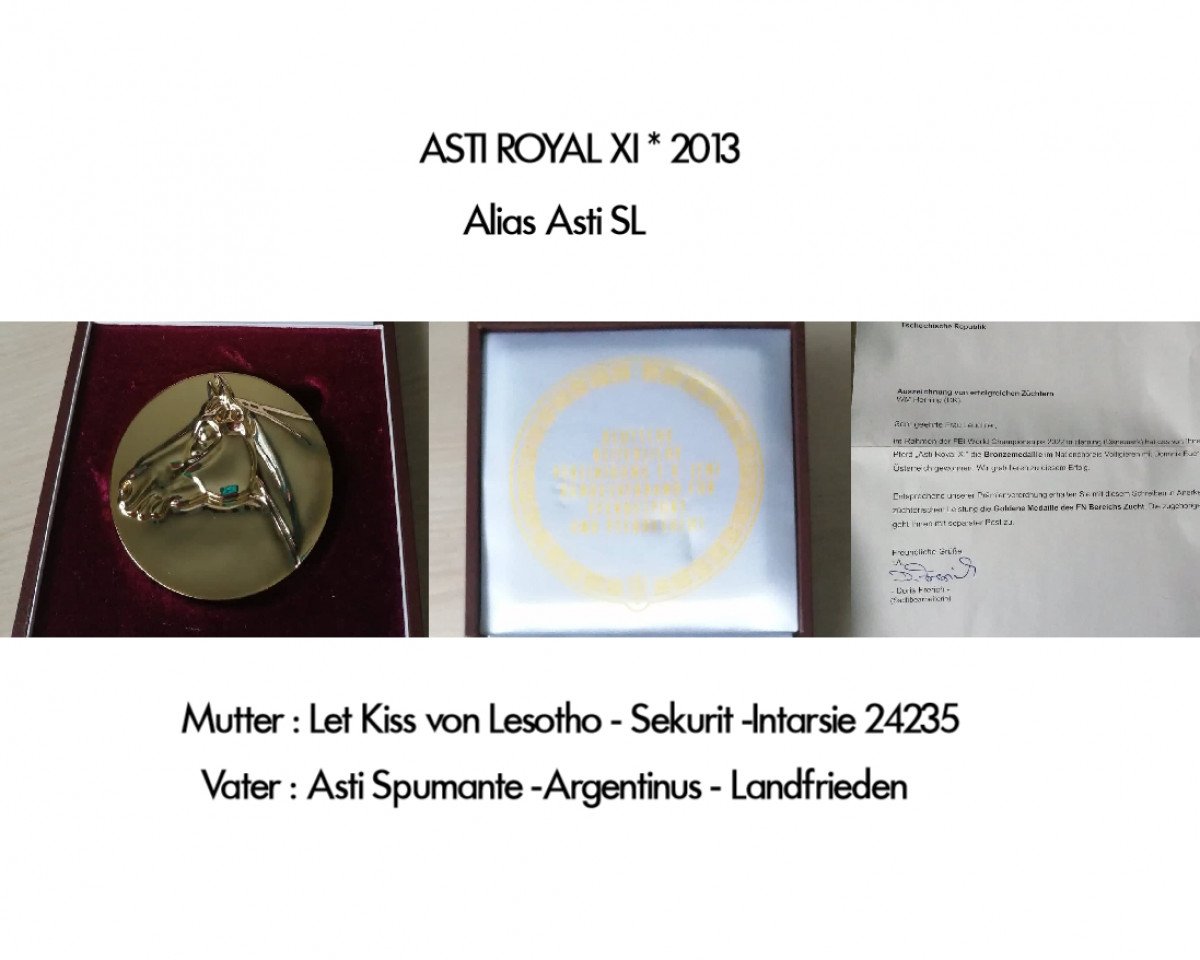 horse Asti SL (Bavarian, 2013, from Asti Spumante 7)