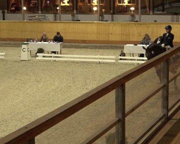 Reitturnier Hamburg-Friedrichshulde/Sylva Kuhrt 2022