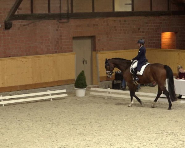 Reitturnier Hamburg-Friedrichshulde/Sylva Kuhrt 2022