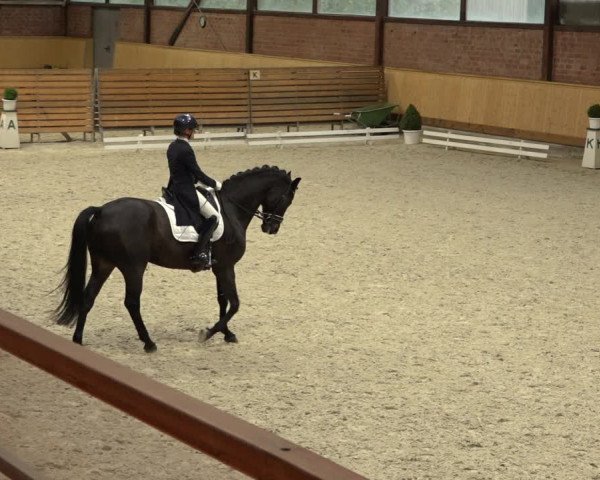 Reitturnier Hamburg-Friedrichshulde/Sylva Kuhrt 2022