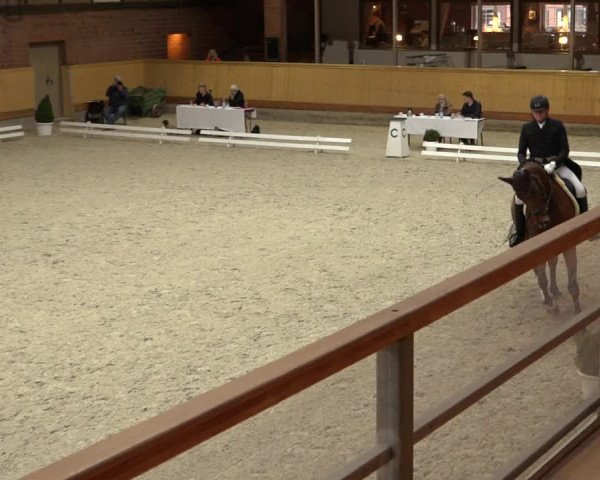 Reitturnier Hamburg-Friedrichshulde/Sylva Kuhrt 2022