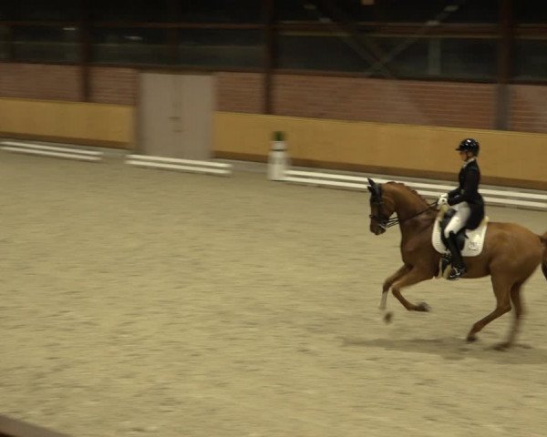 Reitturnier Hamburg-Friedrichshulde/Sylva Kuhrt 2022