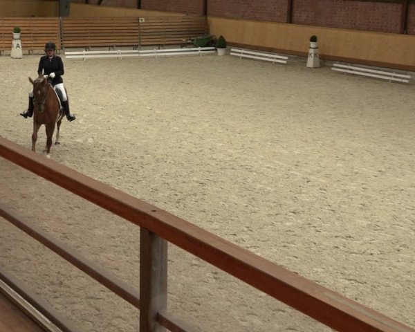 Reitturnier Hamburg-Friedrichshulde/Sylva Kuhrt 2022