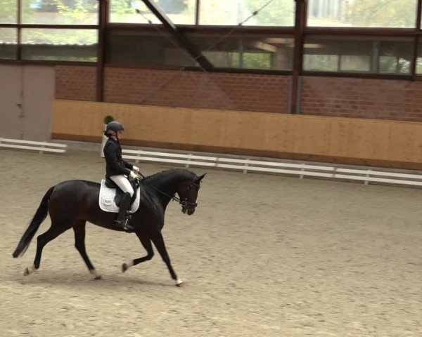 Reitturnier Hamburg-Friedrichshulde/Sylva Kuhrt 2022