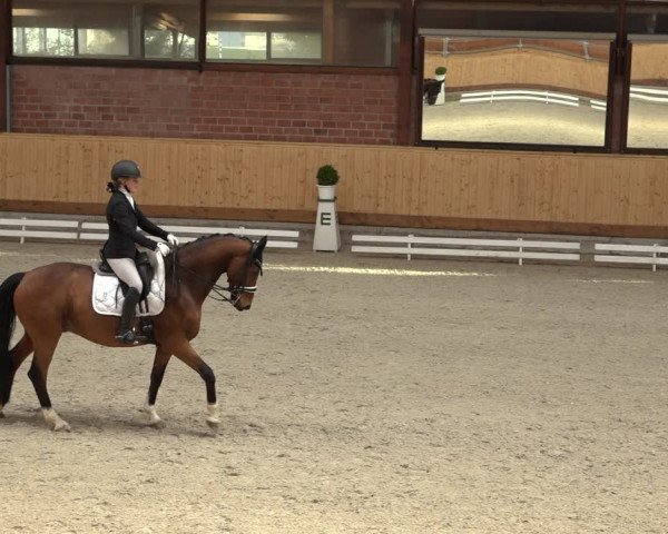 Reitturnier Hamburg-Friedrichshulde/Sylva Kuhrt 2022