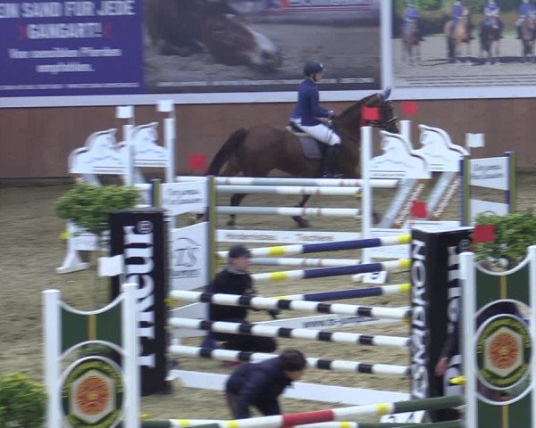 Reitturnier Bad Salzuflen 2022