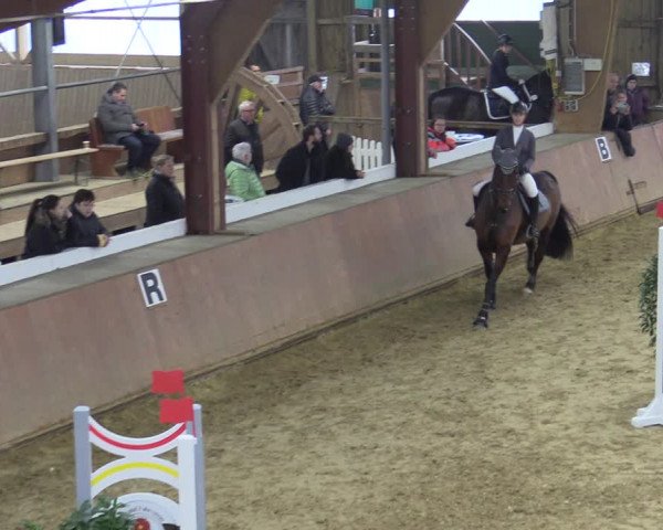 Reitturnier Bad Salzuflen 2022