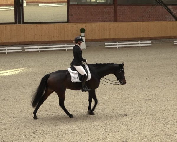 Reitturnier Hamburg-Friedrichshulde/Sylva Kuhrt 2022