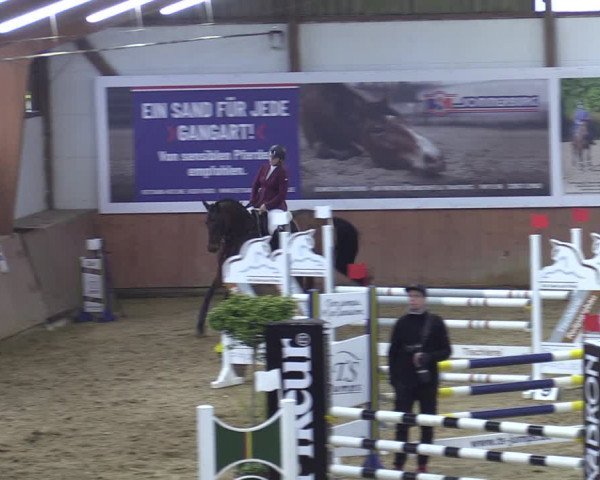 Reitturnier Bad Salzuflen 2022