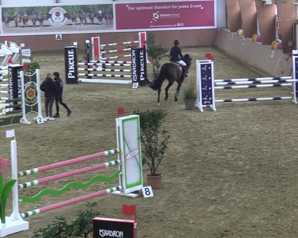Reitturnier Bad Salzuflen 2022